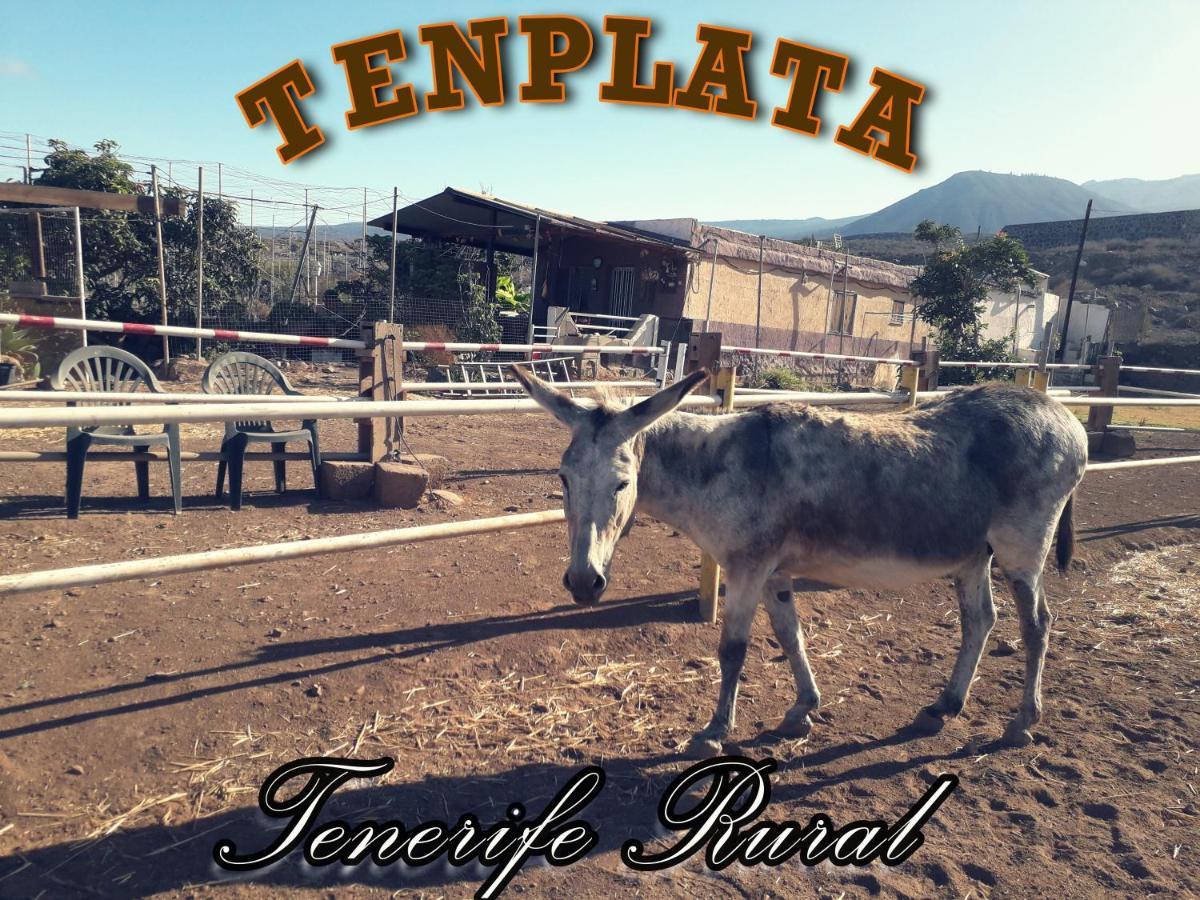 Tenplata Tijoco de Abajo Exterior foto